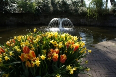 Парк Keukenhof