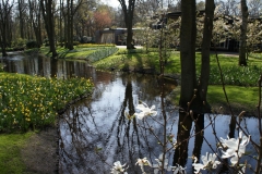 Парк Keukenhof