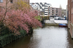 Амстердам, возле ювелирной фабрики